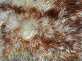 Light brown background, fur texture, close-up. Abstract, creative background in light dark colors.