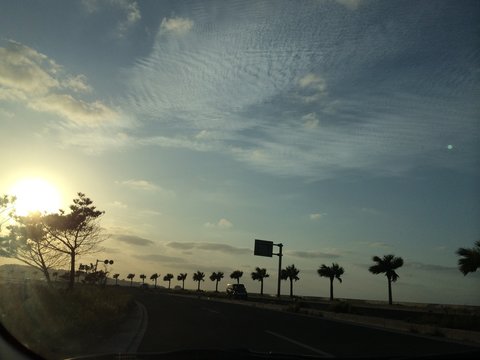 Silhouette Palm Trees Against Cloudy Sky Seen Through Glass Window © saiko kohagura/EyeEm