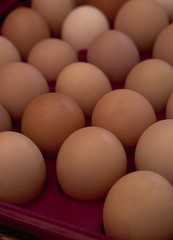 lots of eggs, chicken egg tray, Easter eggs