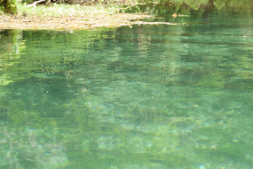 Crystal clear fresh water spring-fed river in Dunnellon, Florida. Rainbow Springs State Park.