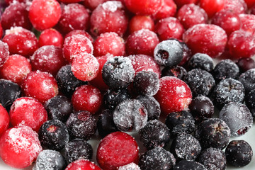 Background of frozen berries in red and black. Berries of currant and mountain ash covered with hoarfrost.