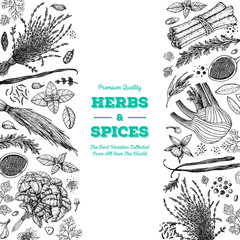 Herbs and spices, hand drawn vector illustration. Aromatic plants. Hand drawn food sketch. Vintage illustration. Card design. Sketch style. Spice and herbs black and white design.