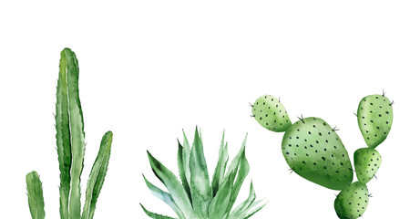 Cactuses and agave plant. Green plant set. Detail for card, postcard, wedding invitation, greeting, pattern. Watercolour illustration isolated on white background.