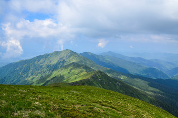 Fototapeta na wymiar View to a chain of green mountains peaks on cloudy summer day. gorgeous landscape of Carpathian mountains Marmarosy ridge. Trekking in mountains.