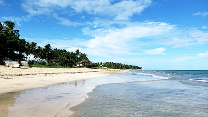 férias no paraíso de águas cristalinas, mar, praia, areia, coqueiros, 