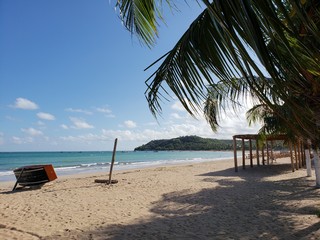 beira mar, praia, natureza, areia, palmeira, 