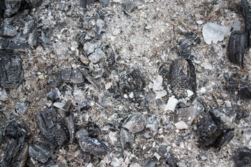 Gray ash from the from the wood from the fireplace, texture background