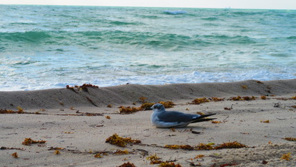 Fototapeta premium MMW