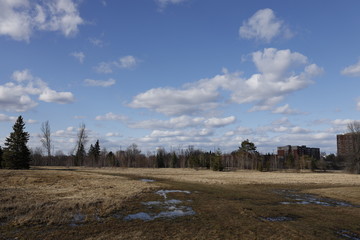 Empty Muddy Field during Spring