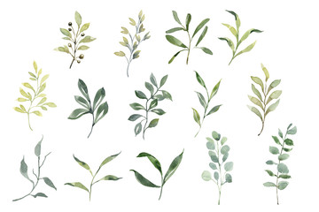 Beautiful set with watercolor foliage. Hand painted illustration. Green branches and leaves. Best for background, wallpaper, wrapping paper, textile, prints, wedding invitation, party supplies.