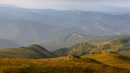 Obraz premium Wonderful springtime panoramic landscape in mountains at sunrise. Grassy slopes and forested hills illuminated with morning sunshine. Wild scenery. Farcau Peak. Maramures. Romania. Europe.