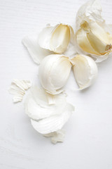 garlic cloves on white table