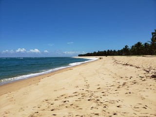 praia, areia, mar, ondas, férias, natureza, paraíso, descanso, paradisíaco, 