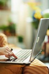 trendy woman in house in sunny day using website