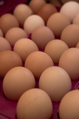lots of eggs, chicken egg tray, Easter eggs