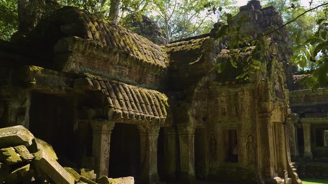 Ta Prohm Temple Ruins, Siem Reap, Cambodia