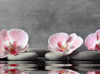 Obraz na płótnie Canvas Set of pink orchid and gray spa stones on water and reflection.