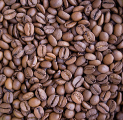 Roasted brown coffee beans close up background