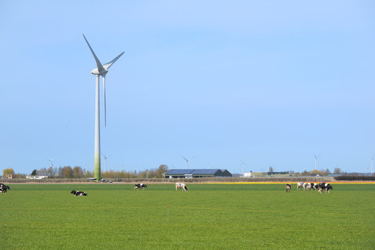 Typical Dutch landscape