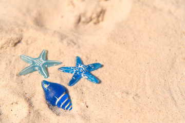 Fototapeta na wymiar Blue Star fish at the beach