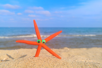 Fototapeta na wymiar Funny orange starfish at the beach