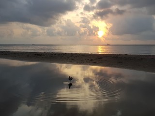 mar