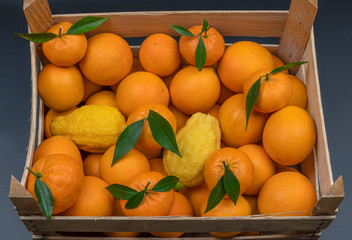 Fresh sicilian citrus, agrumi, mandarins and siciliani lemons in the wooden box top view