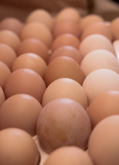 lots of eggs, chicken egg tray, Easter eggs