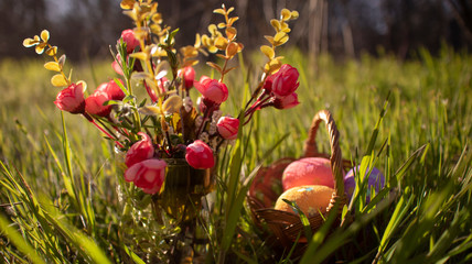 Pink decorative roses, Colorful  Easter eggs in basket hidden in the green grass. Easter egg hunt. 
