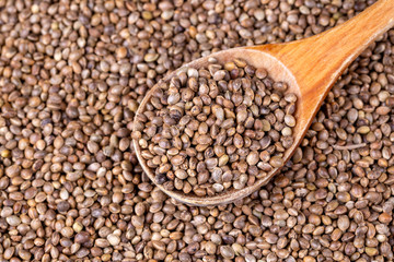 Dried hemp seeds