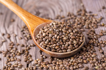 Dried hemp seeds