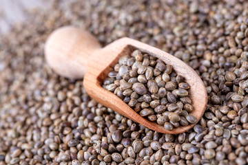 Dried hemp seeds