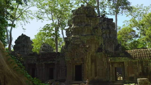 Ta Prohm Temple Ruins, Siem Reap, Cambodia