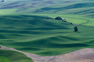 Obraz premium A view of a farm from high above rolling green fields