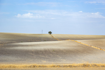 Panoramic view of open field in rural landscape under the blue sky