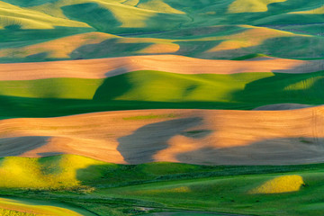 Vast rolling green and brown fields under the sun