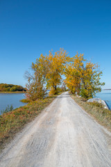 Bike path lines with trees going over a lake