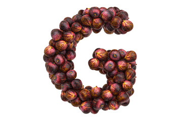 Letter G from common figs, 3D rendering