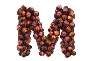 Letter M from common figs, 3D rendering