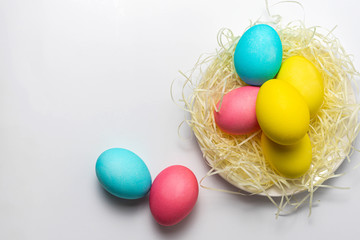 Colored Easter eggs in nest isolated on white background. Happy Easter card, copy space, design idea