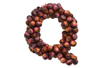 Letter Q from common figs, 3D rendering