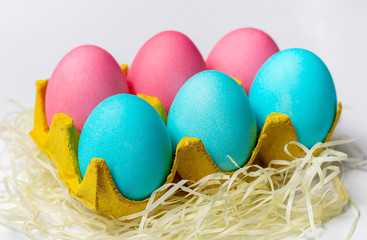 Colorful Easter eggs in rows in yellow paper egg tray isolated on white background. Close-up
