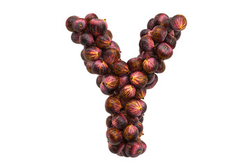 Letter Y from common figs, 3D rendering
