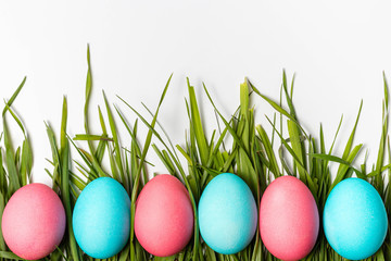 Colorful Easter eggs on fresh green grass isolated on white background. Easter symbol, close-up, copy space