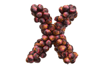 Letter X from common figs, 3D rendering