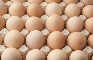 whole round raw brown homemade chicken eggs in a paper tray