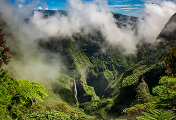 Fototapeta na wymiar Wasserfall in Reunion - Trou de Fer