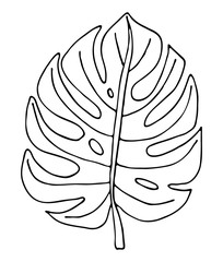 Monstera leaf line art. Hand drawing doodles leaf vector illustration. Minimalism art. Botanical modern decor.