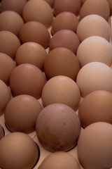lots of eggs, chicken egg tray, Easter eggs