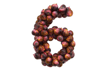 Number 6 from common figs, 3D rendering